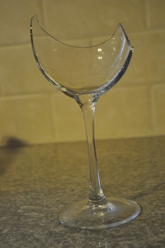 DSC_1751_small Broken Wine Glass