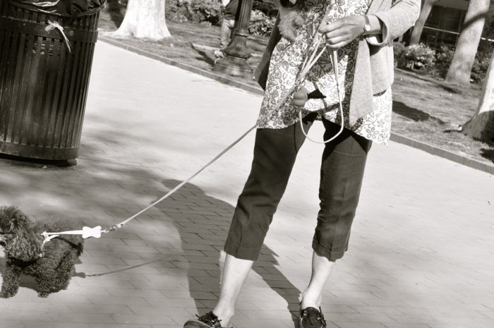 DSC_0388_web