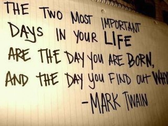 MarkQuote