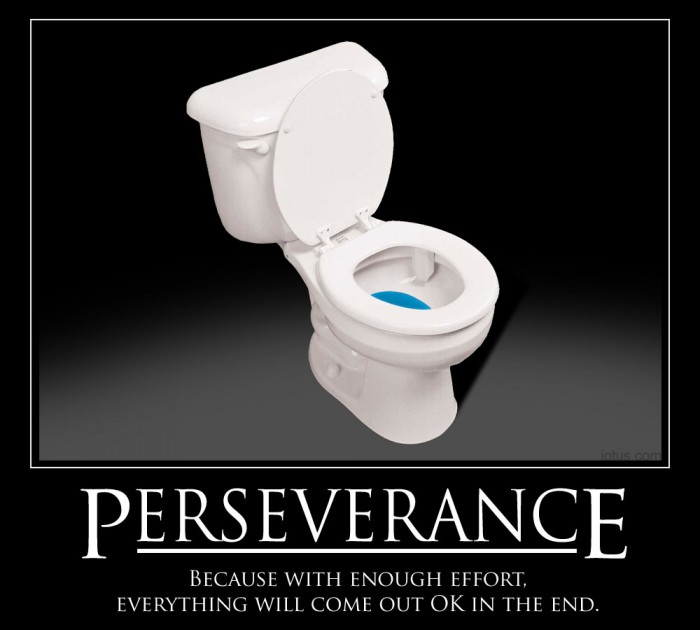 perseverance