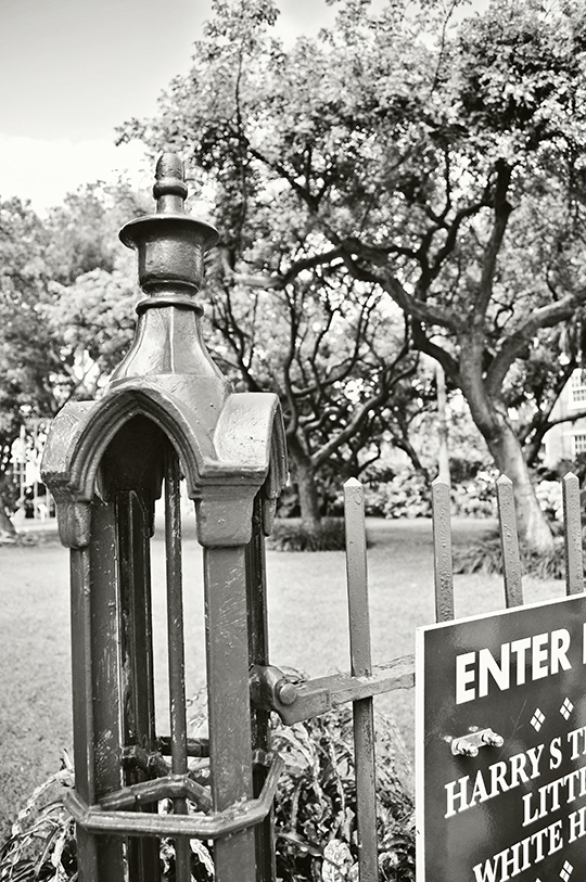 DSC_4344_web