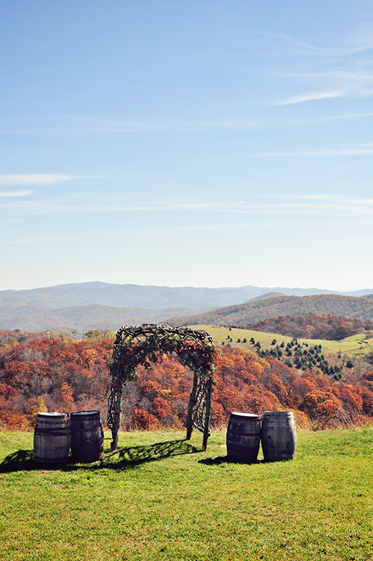 DSC_4654_web Banner Elk Vineyard
