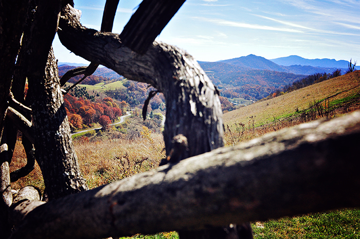 DSC_4666_web