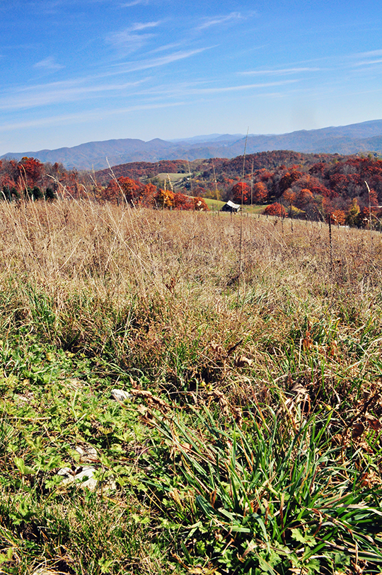 DSC_4680_web