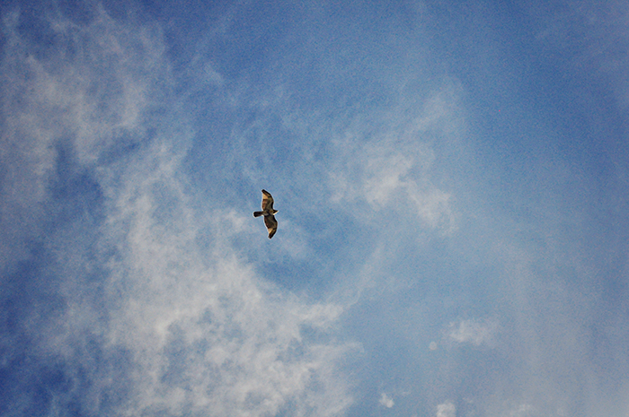 DSC_4690_web