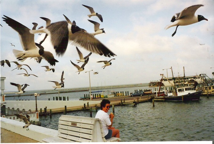 CorpusChristie-MomSeagulls