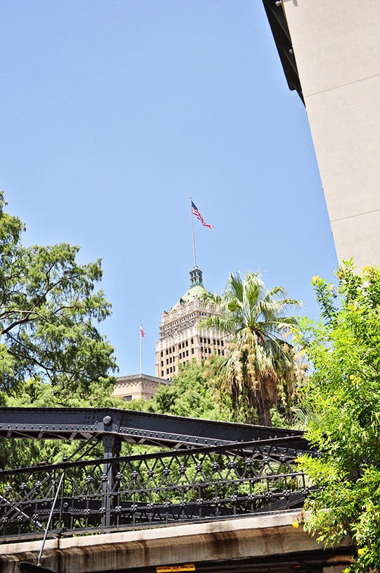 DSC_3421_web