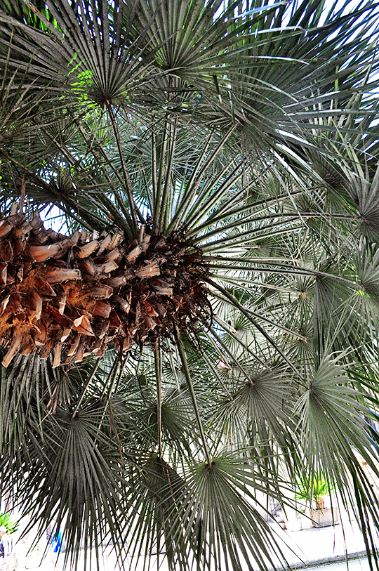 DSC_3426_web