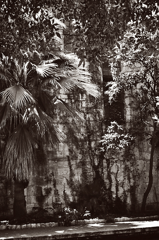DSC_3449_web