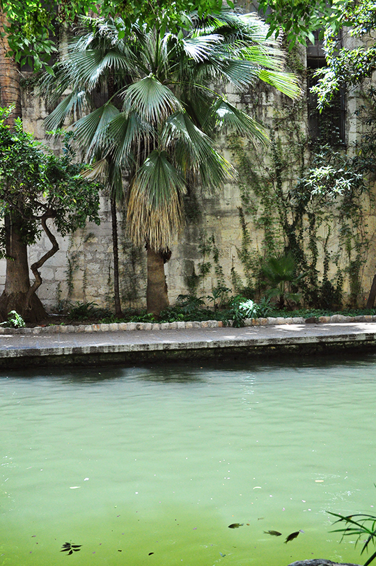 DSC_3454_web