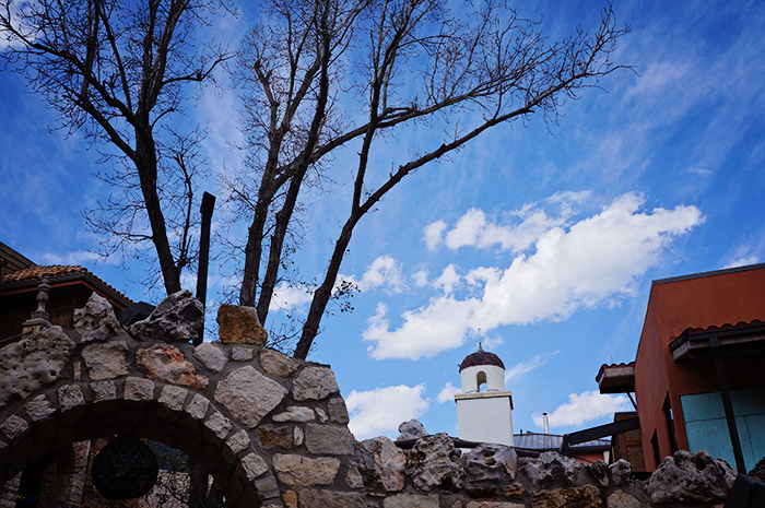 DSC01037_web
