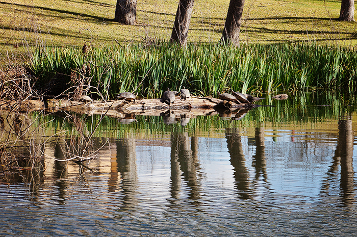 DSC01052_web