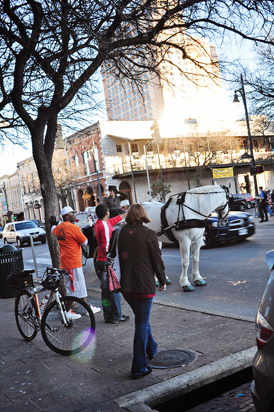 DSC_8195_web