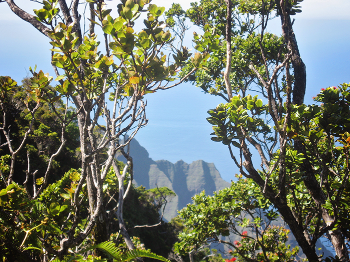 Hawaii Card 2 044_web