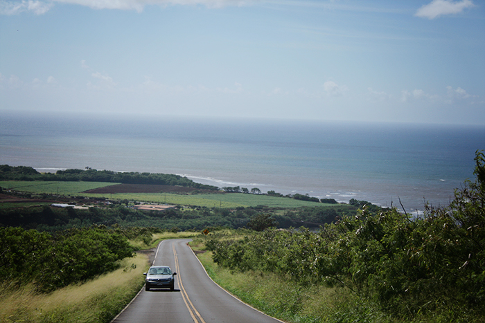 IMG_1124web