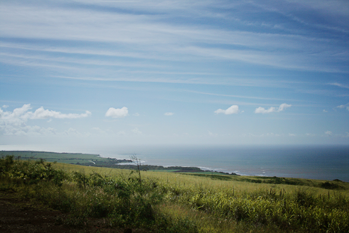 IMG_1136web