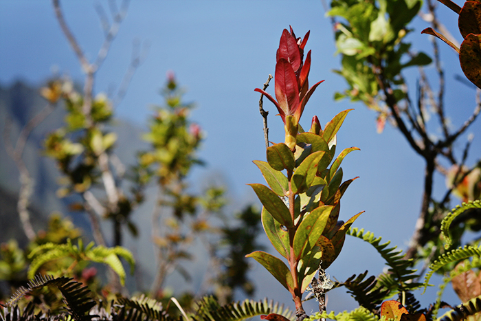 IMG_1285_web