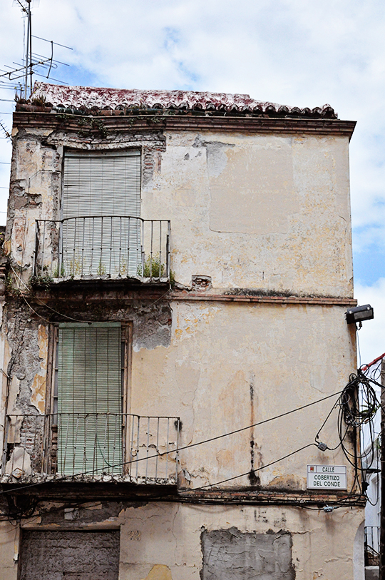 DSC_1235_web
