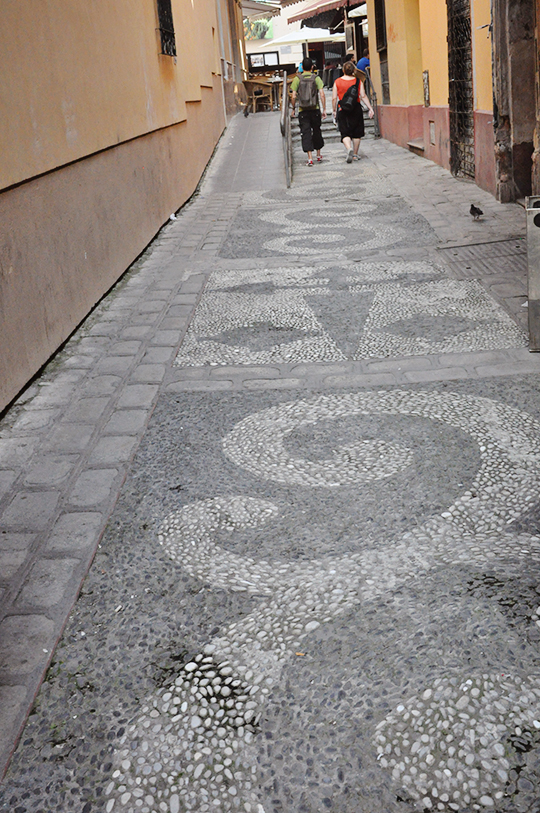 DSC_1250_web