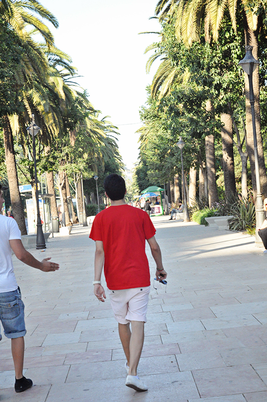DSC_1311_web