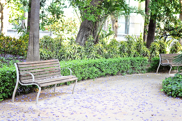 DSC_1318_web