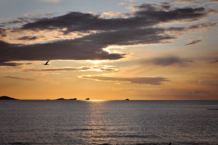 DSC_1510_web