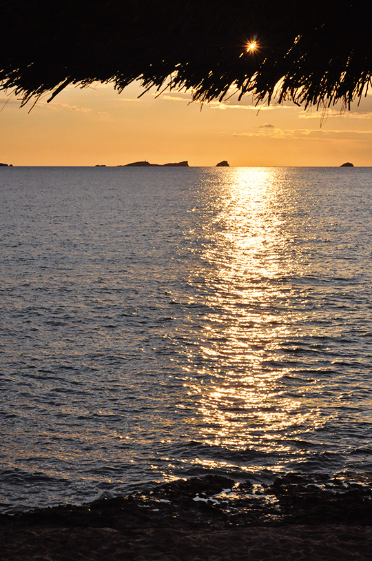DSC_1514_web