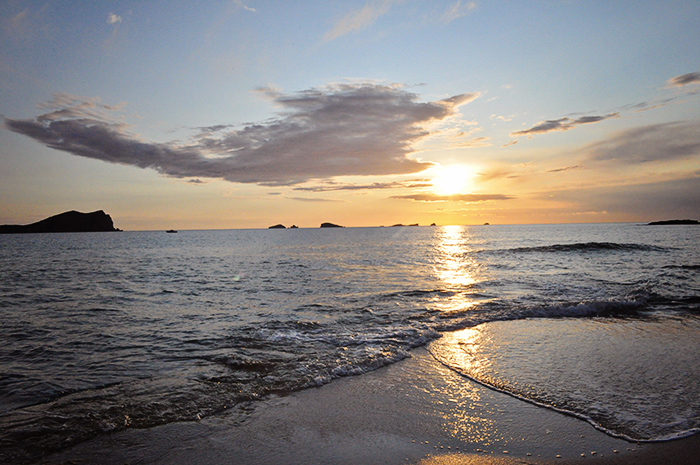 DSC_1520_web