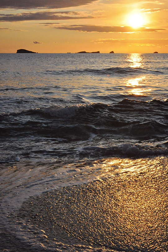DSC_1525_web