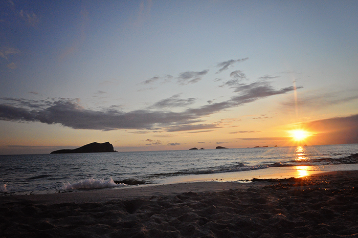 DSC_1566_web