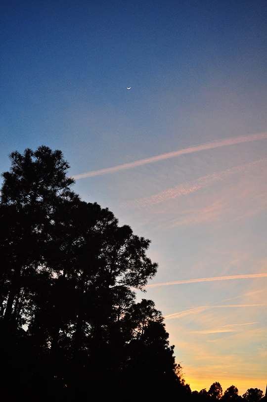 DSC_8943_web