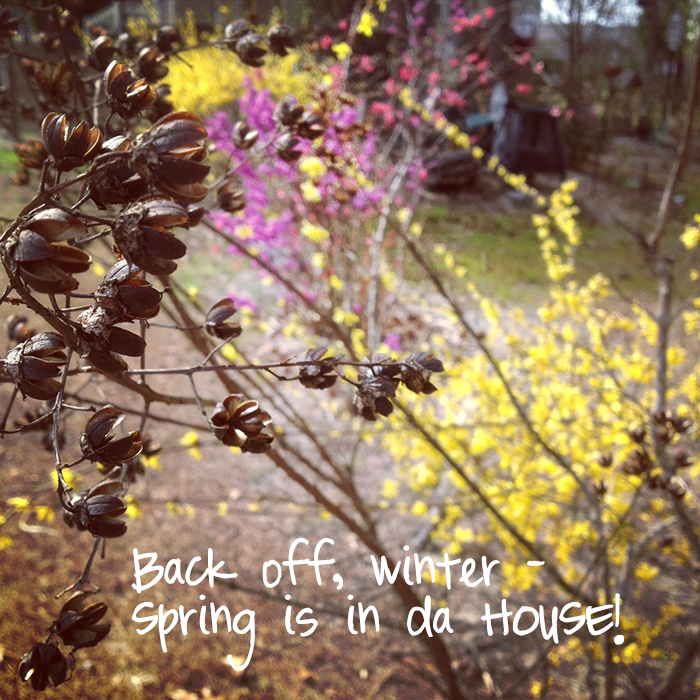 spring_web