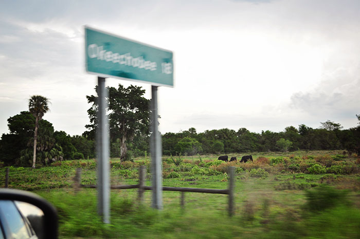 DSC_0141_web