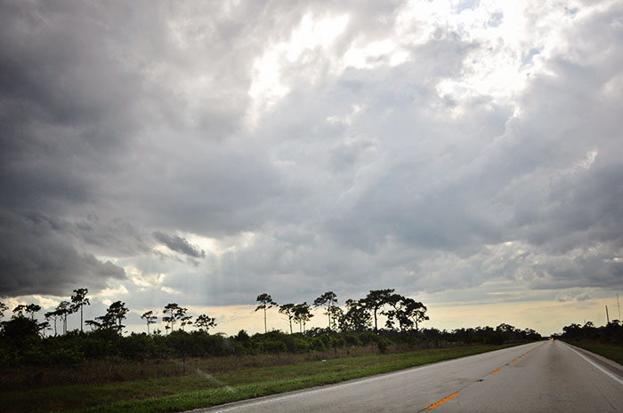 DSC_0150_web
