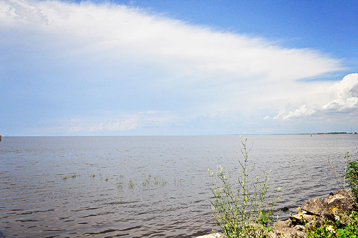 DSC_0072_web