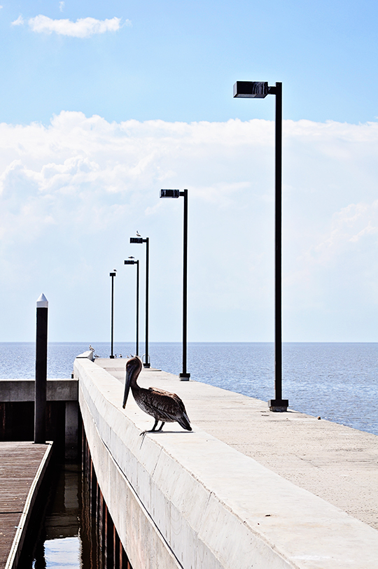 DSC_0086_web