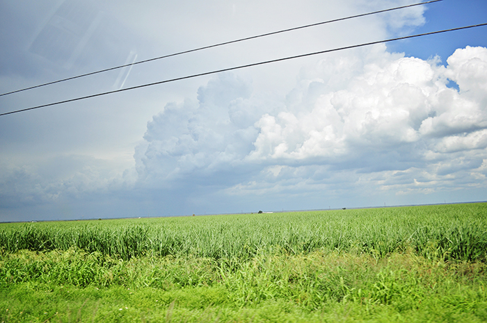 DSC_0129_web