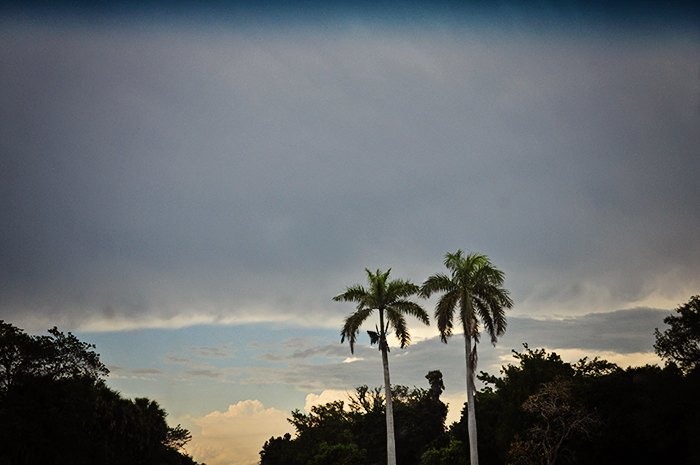 DSC_0133_web