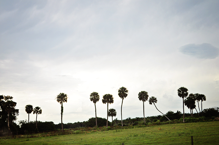 DSC_0147_web