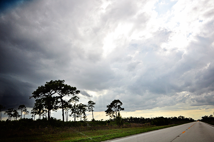 DSC_0151_web