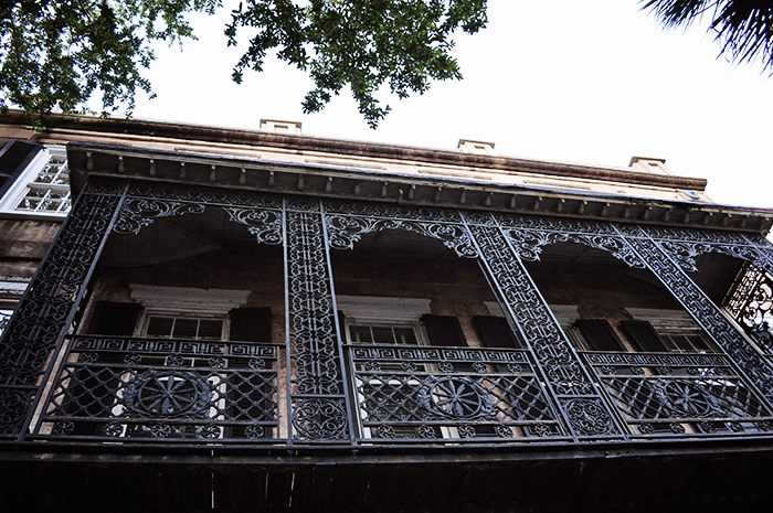 DSC_3318_web