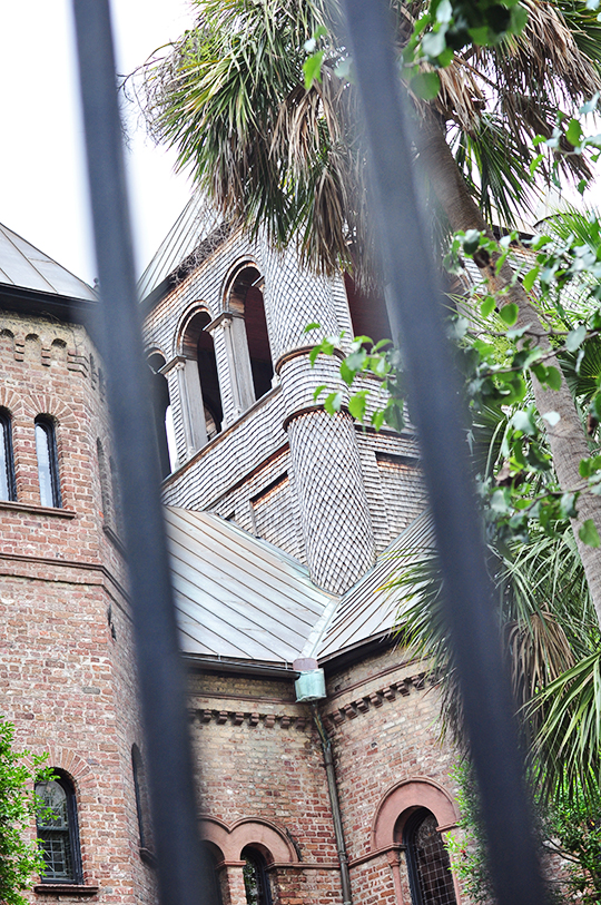 DSC_3395_web
