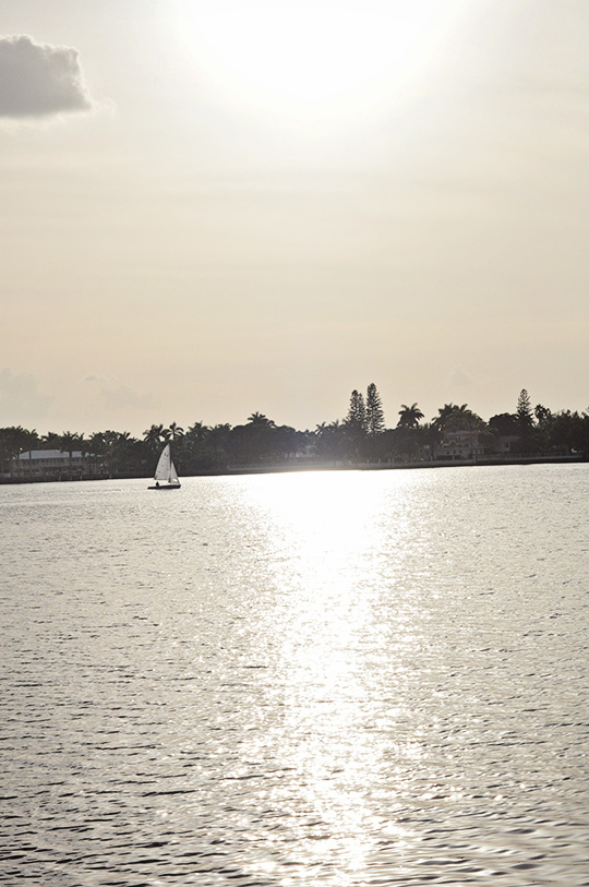 DSC_4337_web