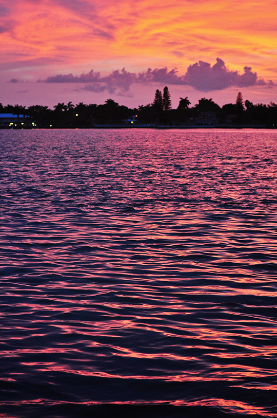 DSC_4395_web