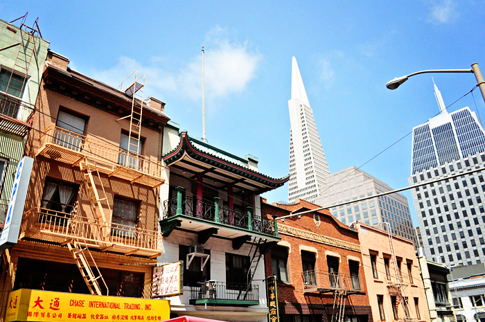 DSC_4808_web