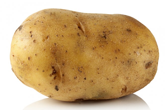 Potato