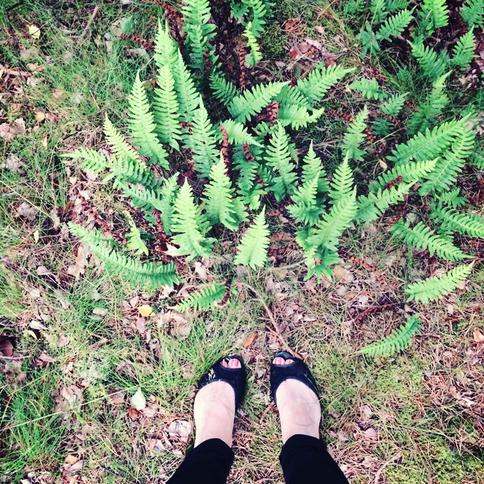 My really amazing hiking shoes. They look just like flats because they're flats.